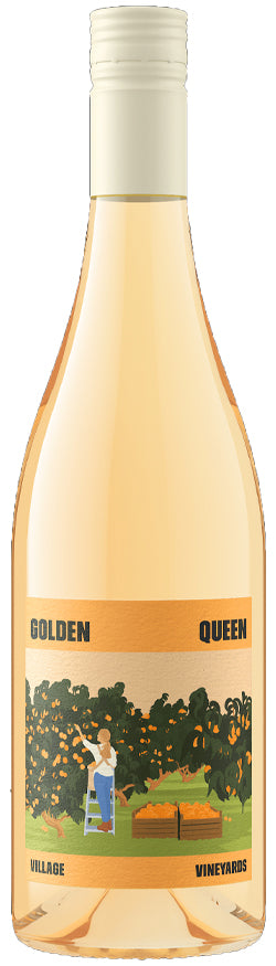 Village Vineyards Golden Queen Pinot Gris 2025