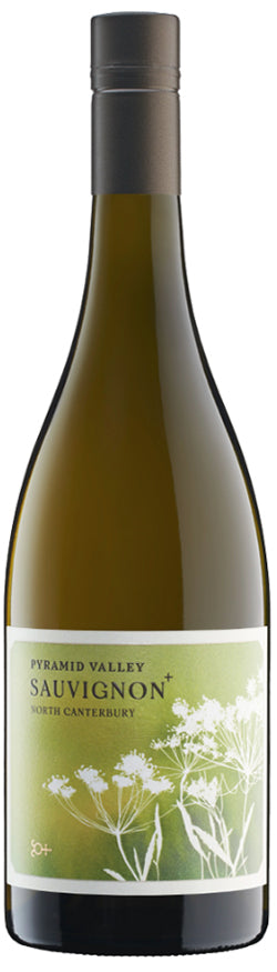 Pyramid Valley North Canterbury Sauvignon+ 2023